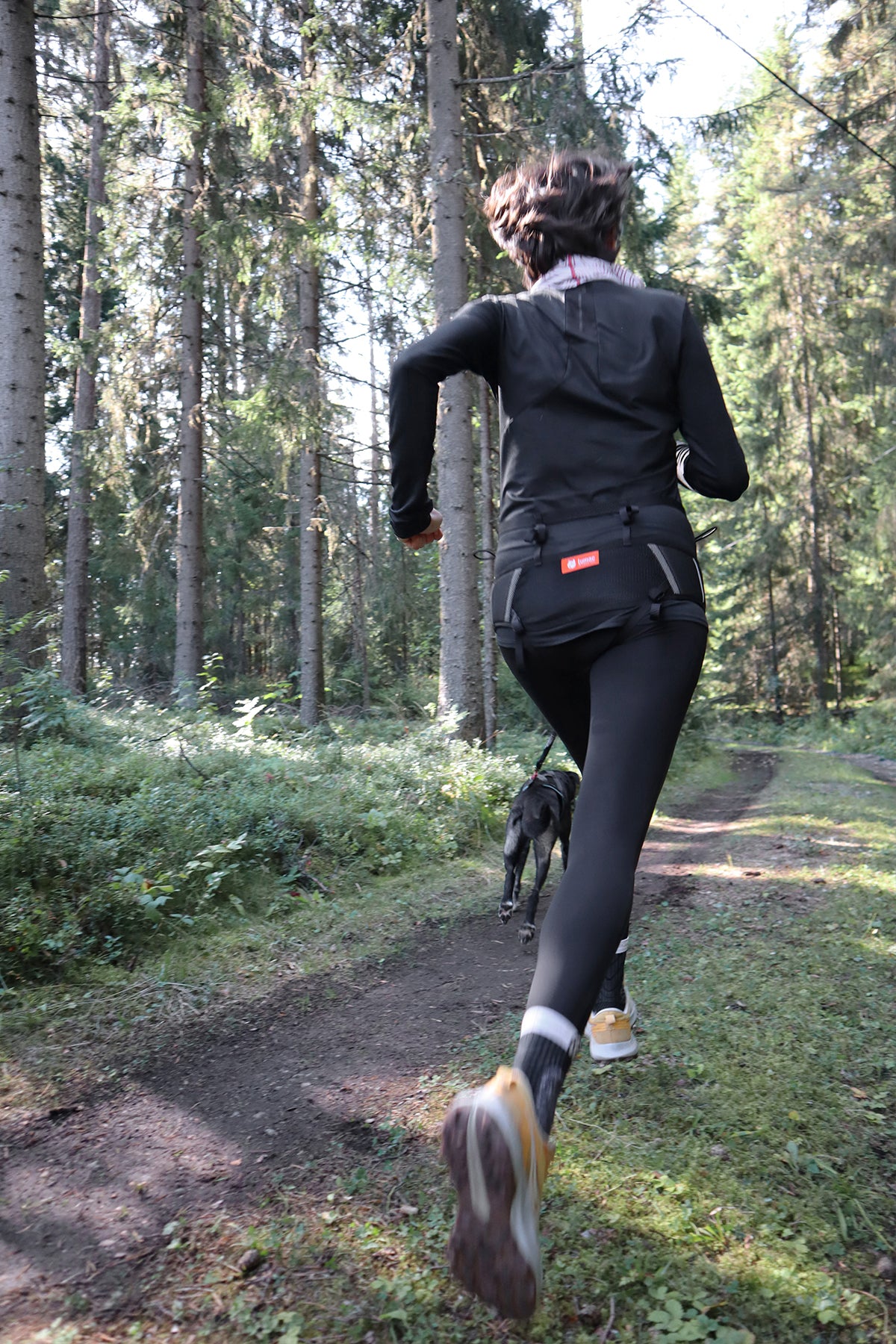 Lumac Rebelt (canicross & skijor)