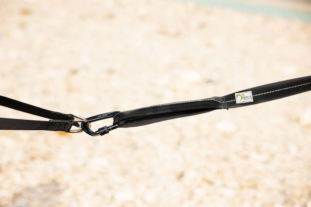Axaeco 4 Season Jogging Leash
