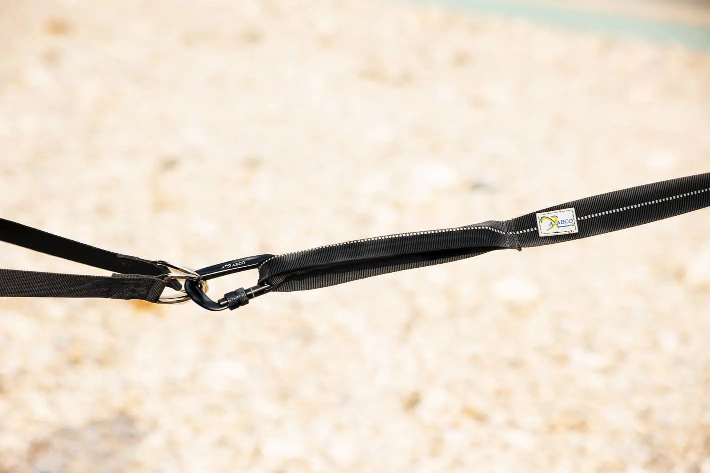 Axaeco 4 Season Jogging Leash