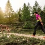 Axaeco 4 Season Jogging Leash
