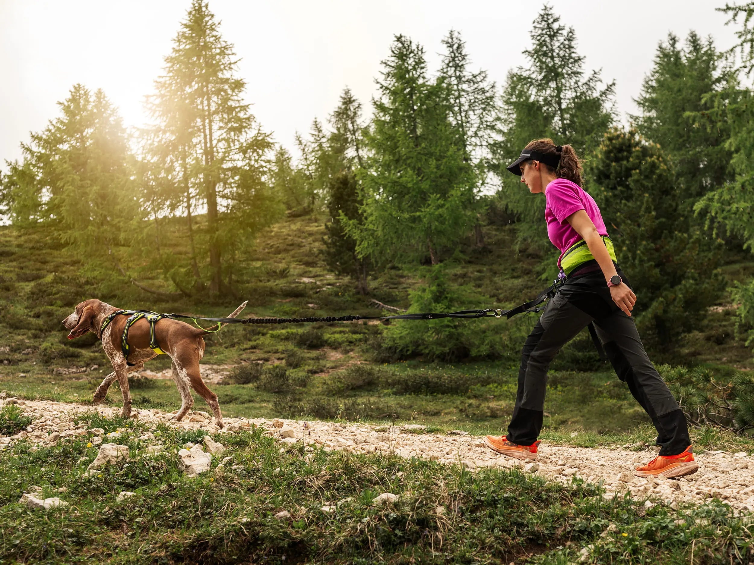 Axaeco 4 Season Jogging Leash