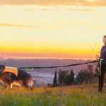 Axaeco 4 Season Jogging Leash