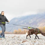 Axaeco 4 Season Jogging Leash