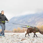 Axaeco 4 Season Jogging Leash