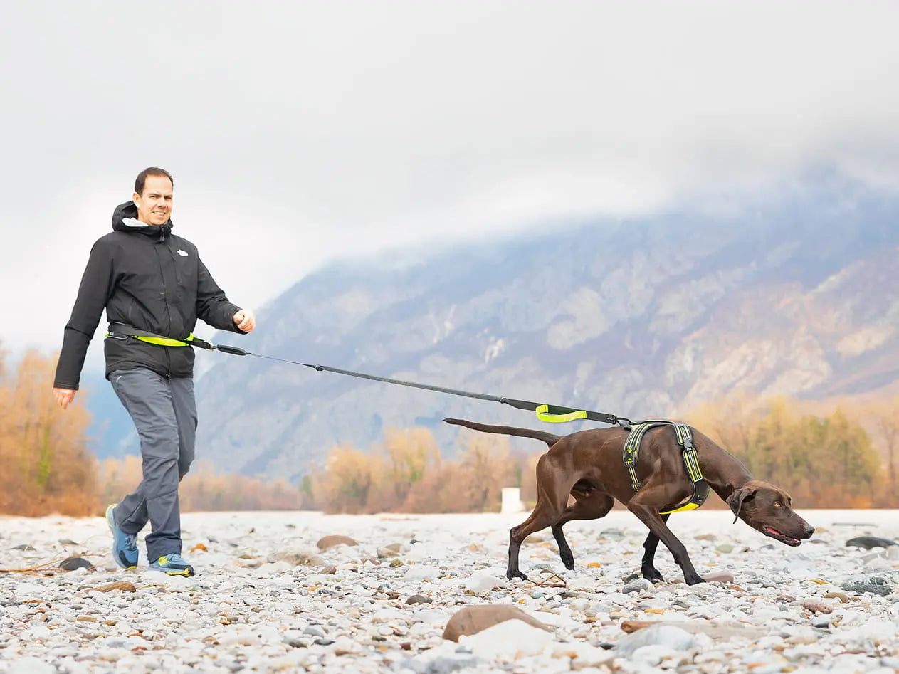 Axaeco 4 Season Jogging Leash