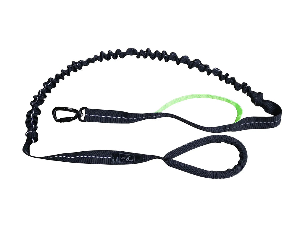 Axaeco 4 Season Jogging Leash