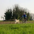Axaeco Bikejoring Line