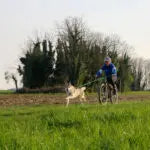 Axaeco Bikejoring Line