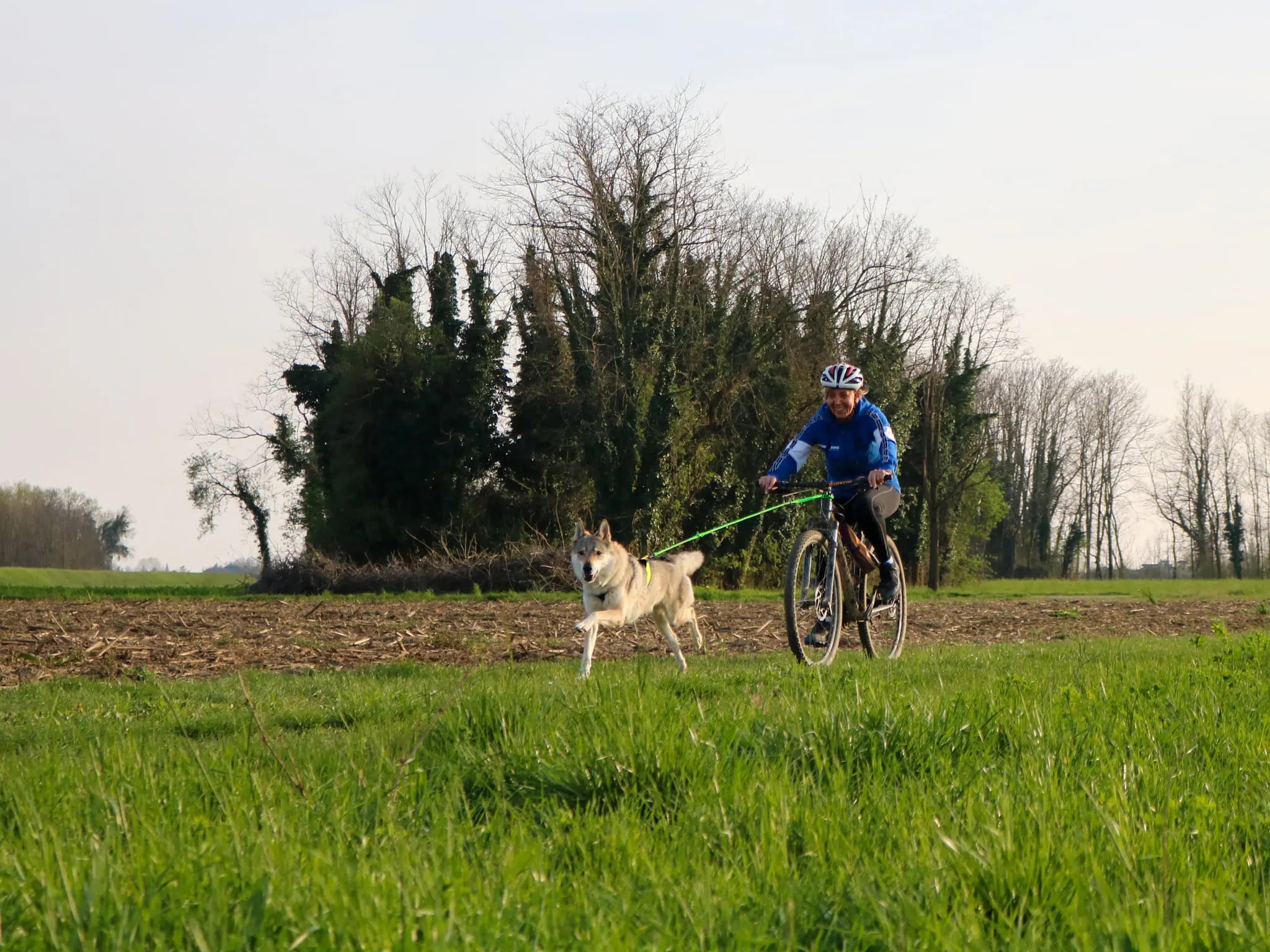 Axaeco Bikejoring Line