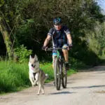 Axaeco Bikejoring Line