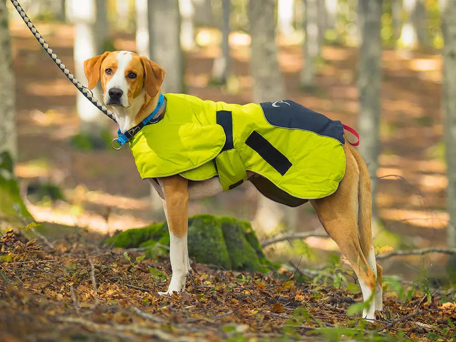 Axaeco Dog Coat Ice-Olation 2.0
