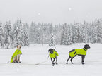 Axaeco Dog Coat Ice-Olation 2.0