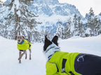 Axaeco Dog Coat Ice-Olation 2.0