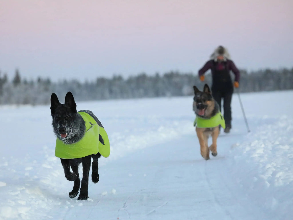 Axaeco Dog Coat Ice-Olation 2.0