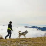 Axaeco Harness Scandinavia