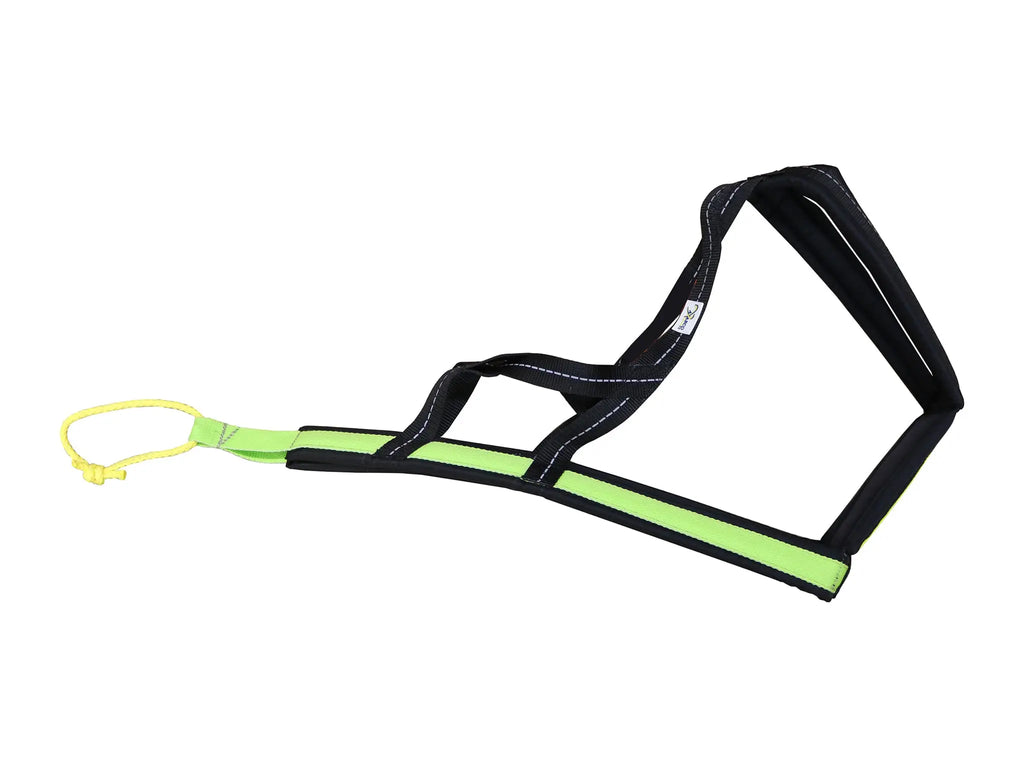 Axaeco Harness Scandinavia