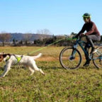 Axaeco Bikejoring Line