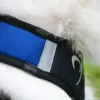 Axaeco Harness X Shirt 2.0