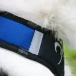 Axaeco Harness X Shirt 2.0