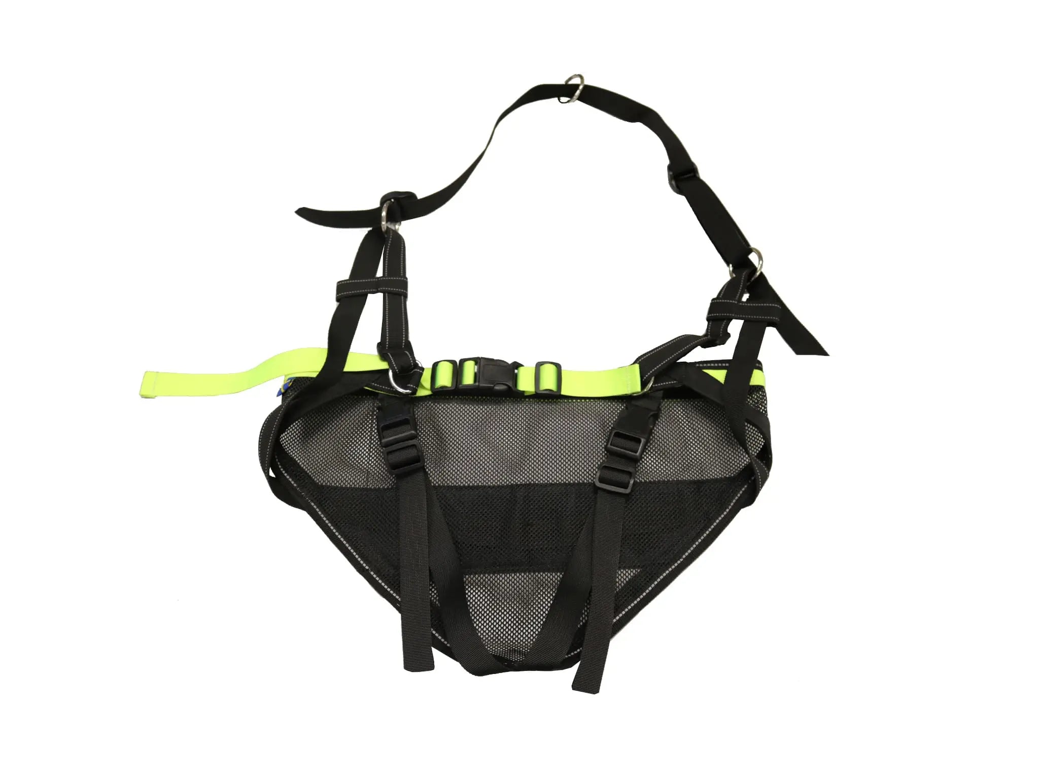 Axaeco Racing Belt