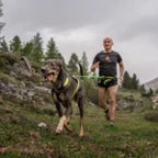 Axaeco Racing Belt