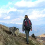 Axaeco Harness Scandinavia