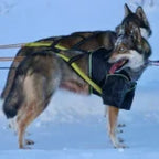 Axaeco Harness Scandinavia