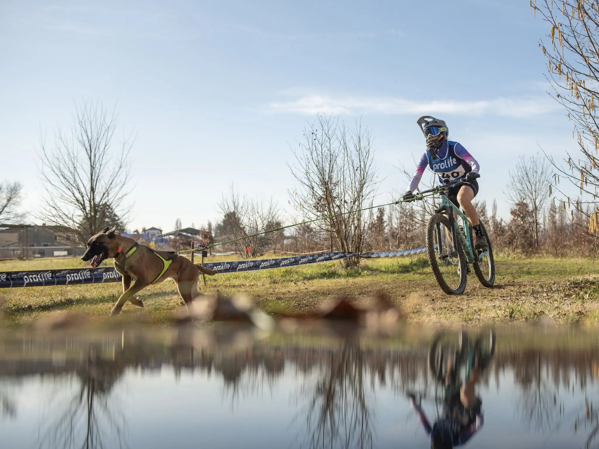 Axaeco Bikejoring Line