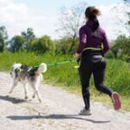 Axaeco Racing Belt